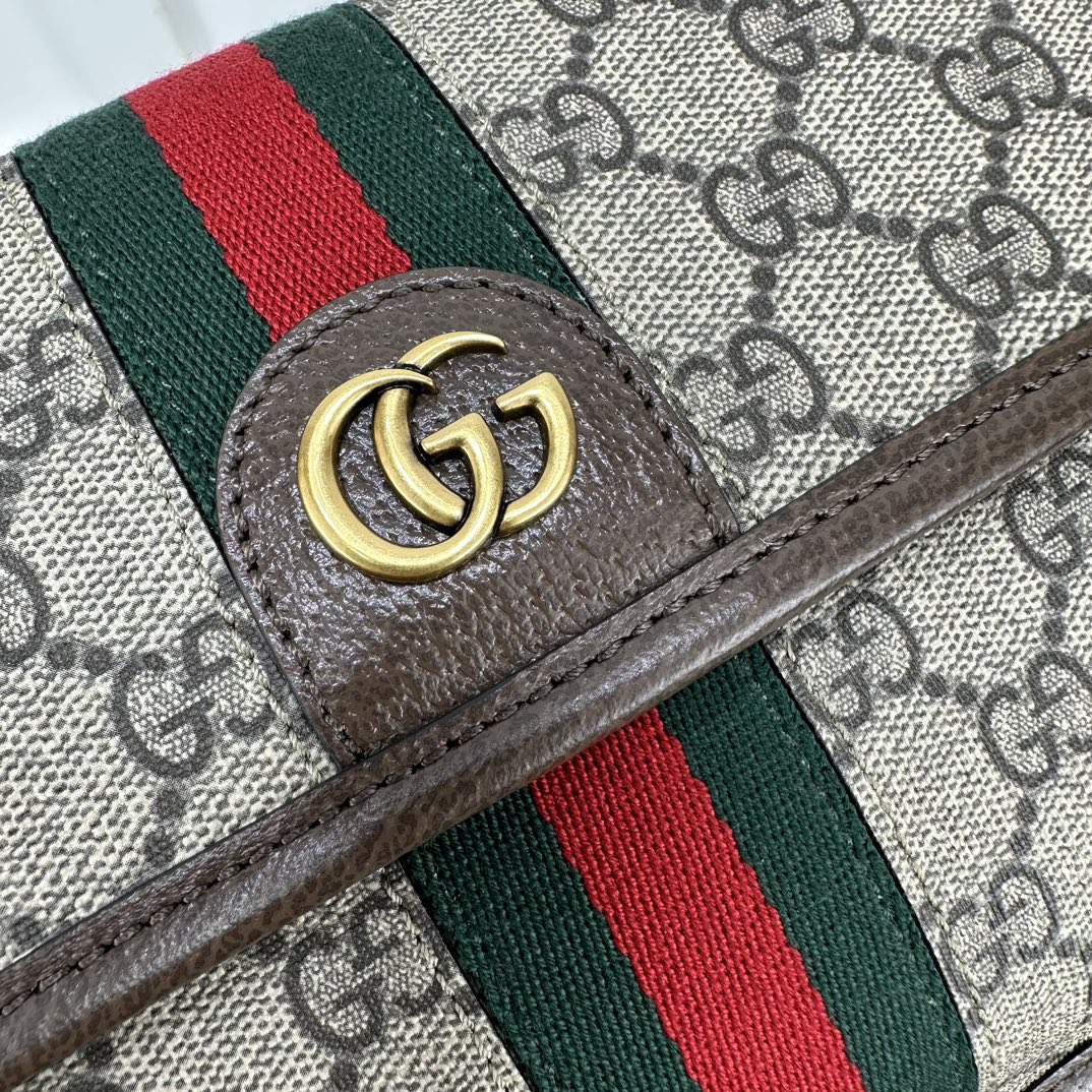 Gucci Waist Chest Packs